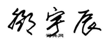 朱锡荣邓宇辰草书个性签名怎么写