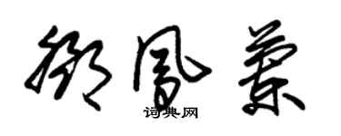 朱锡荣邓凤兰草书个性签名怎么写