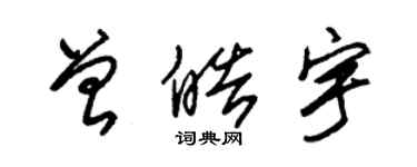 朱锡荣曾皓宇草书个性签名怎么写