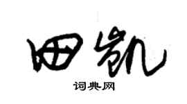朱锡荣田凯草书个性签名怎么写