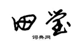 朱锡荣田莹草书个性签名怎么写