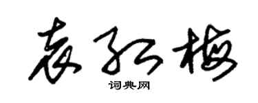 朱锡荣袁红梅草书个性签名怎么写