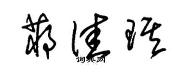 朱锡荣蒋佳琪草书个性签名怎么写