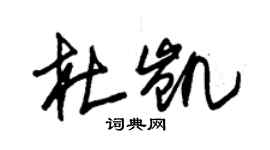 朱锡荣杜凯草书个性签名怎么写