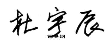朱锡荣杜宇辰草书个性签名怎么写