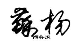 朱锡荣苏杨草书个性签名怎么写