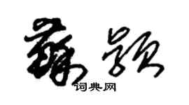 朱锡荣苏颖草书个性签名怎么写
