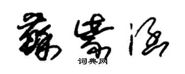 朱锡荣苏紫涵草书个性签名怎么写