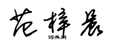 朱锡荣范梓晨草书个性签名怎么写