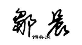 朱锡荣邹晨草书个性签名怎么写