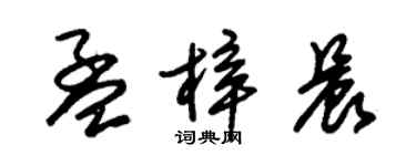 朱锡荣孟梓晨草书个性签名怎么写