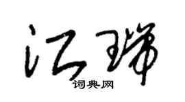 朱锡荣江瑞草书个性签名怎么写