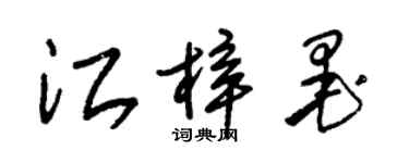 朱锡荣江梓墨草书个性签名怎么写