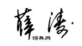朱锡荣薛涛草书个性签名怎么写