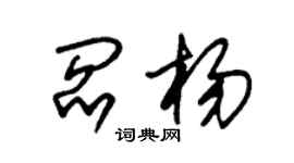 朱锡荣阎杨草书个性签名怎么写