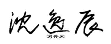 朱锡荣沈逸辰草书个性签名怎么写