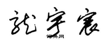 朱锡荣龙宇宸草书个性签名怎么写