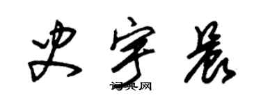 朱锡荣史宇晨草书个性签名怎么写