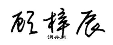朱锡荣顾梓辰草书个性签名怎么写