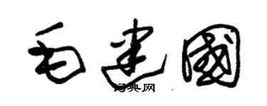 朱锡荣毛建国草书个性签名怎么写