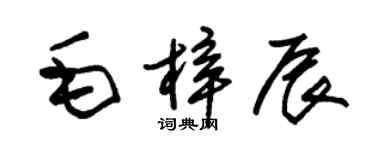 朱锡荣毛梓辰草书个性签名怎么写