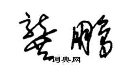 朱锡荣龚鹏草书个性签名怎么写