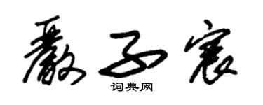 朱锡荣严子宸草书个性签名怎么写