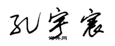 朱锡荣孔宇宸草书个性签名怎么写