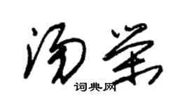 朱锡荣汤荣草书个性签名怎么写