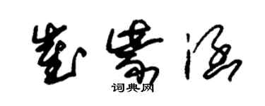 朱锡荣崔紫涵草书个性签名怎么写