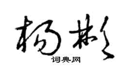 曾庆福杨彬草书个性签名怎么写