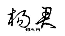 曾庆福杨君草书个性签名怎么写