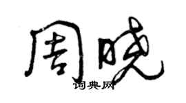 曾庆福周晓草书个性签名怎么写