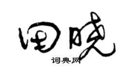 曾庆福田晓草书个性签名怎么写