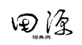 曾庆福田源草书个性签名怎么写