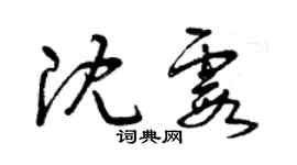 曾庆福沈霞草书个性签名怎么写