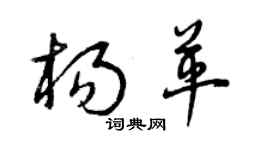 曾庆福杨革草书个性签名怎么写