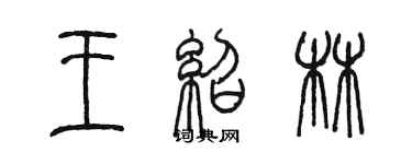 陈墨王绍林篆书个性签名怎么写
