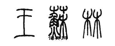 陈墨王苏林篆书个性签名怎么写