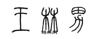 陈墨王林男篆书个性签名怎么写