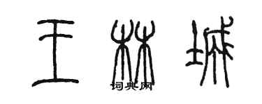 陈墨王林城篆书个性签名怎么写