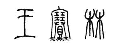 陈墨王赛林篆书个性签名怎么写