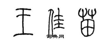 陈墨王佳苗篆书个性签名怎么写