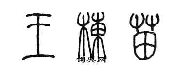 陈墨王栋苗篆书个性签名怎么写