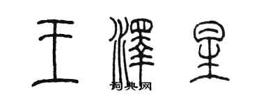 陈墨王泽星篆书个性签名怎么写
