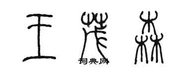 陈墨王茂森篆书个性签名怎么写