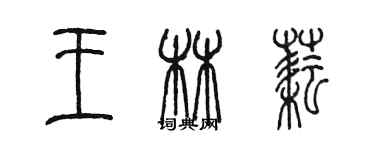 陈墨王林耘篆书个性签名怎么写