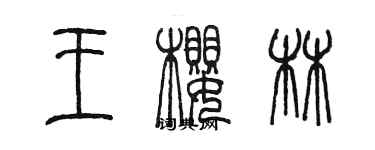 陈墨王樱林篆书个性签名怎么写