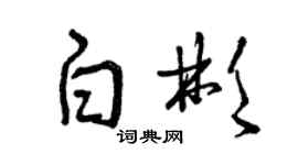 曾庆福白彬草书个性签名怎么写