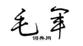 曾庆福毛军草书个性签名怎么写